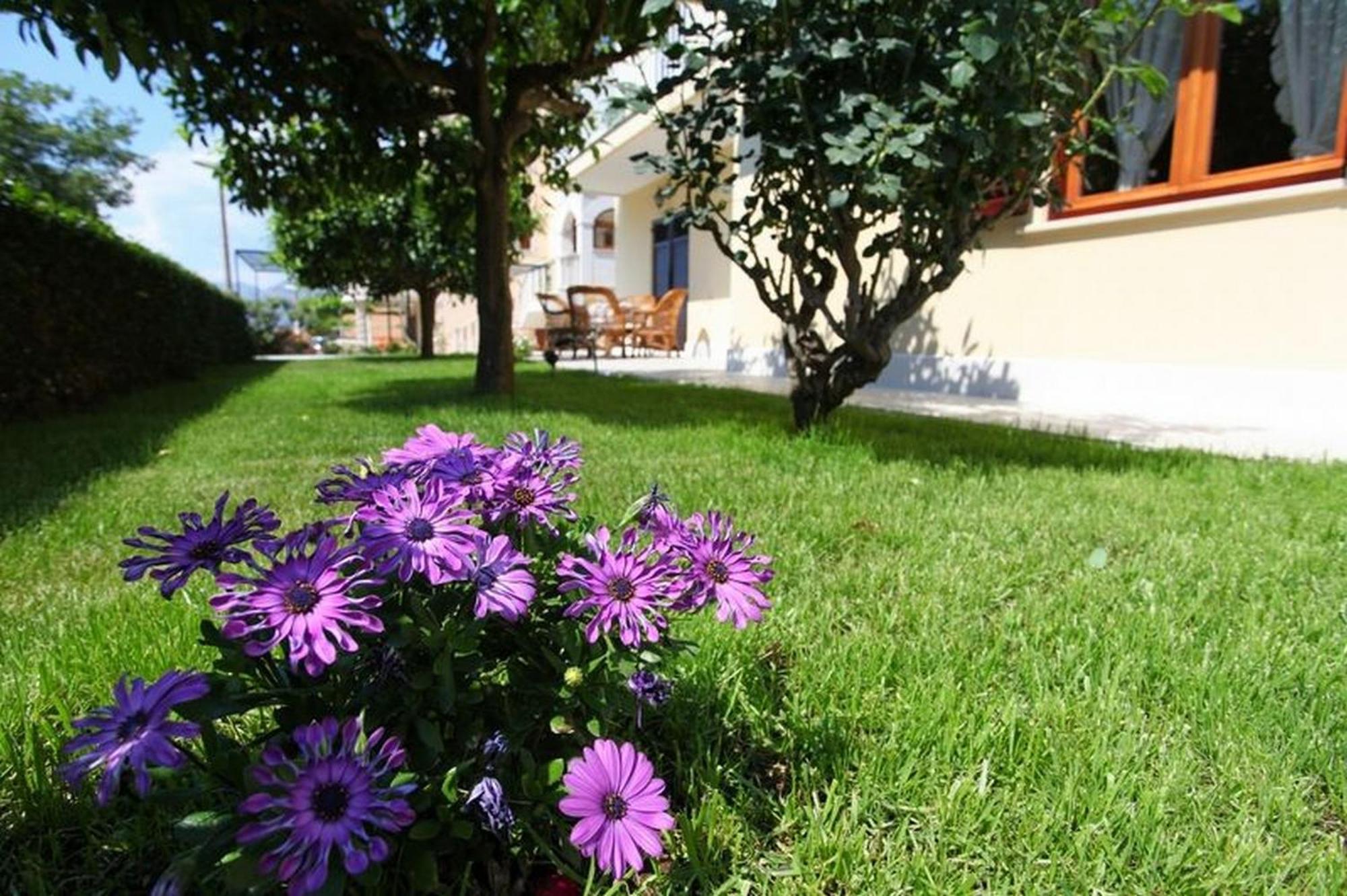 Antares Apartments Cavtat Esterno foto