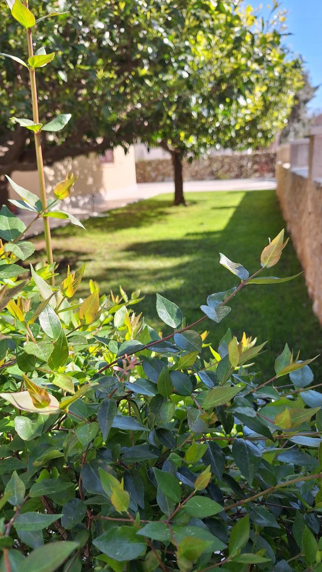 Antares Apartments Cavtat Esterno foto