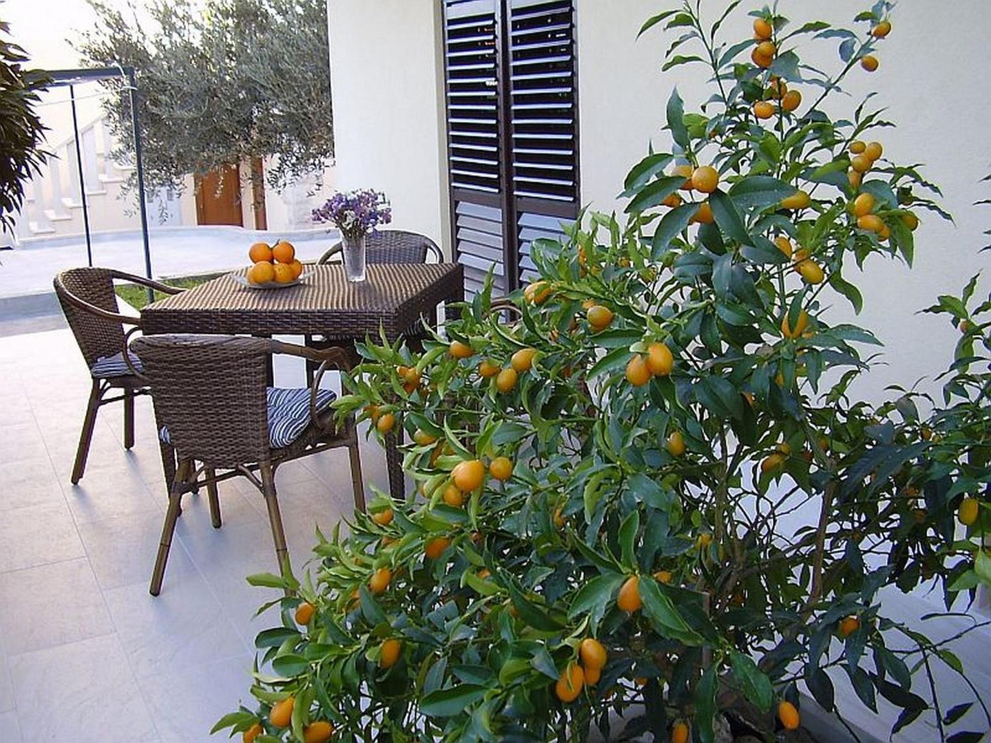 Antares Apartments Cavtat Esterno foto